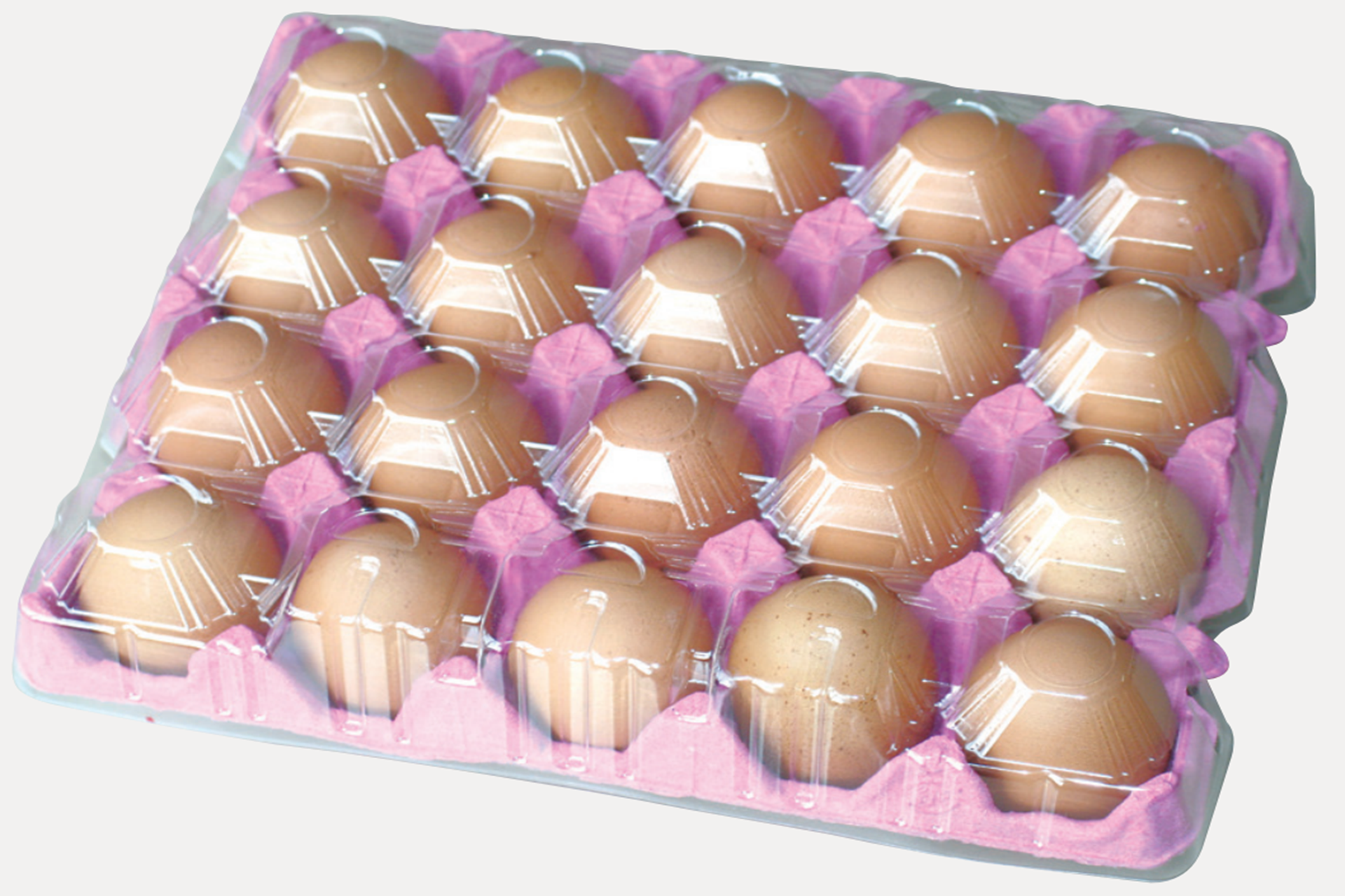  ファミリートレイ