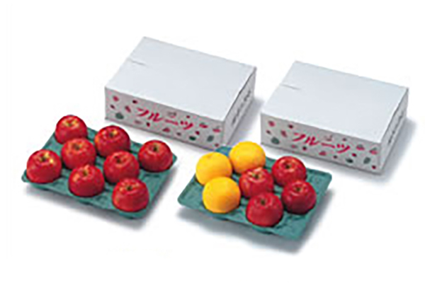 Gift Fruits and Vegetables Trays３K用